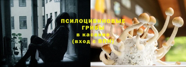 МДМА Богданович