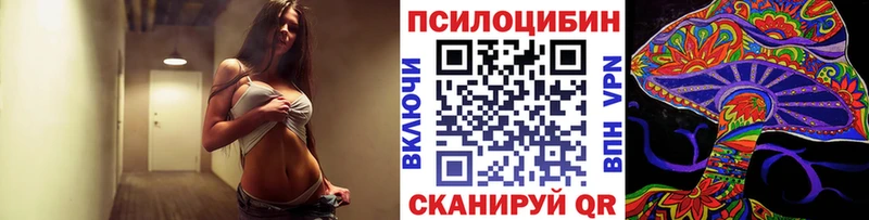 Купить где  Судогда  Псилоцибиновые грибы ЛСД 